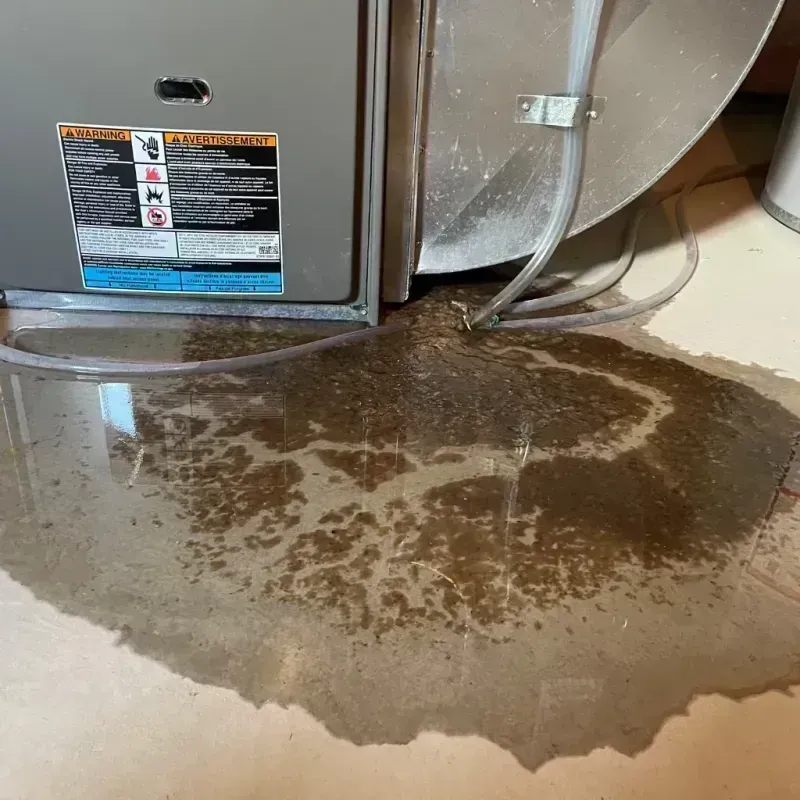 Appliance Leak Cleanup in Christian County, IL